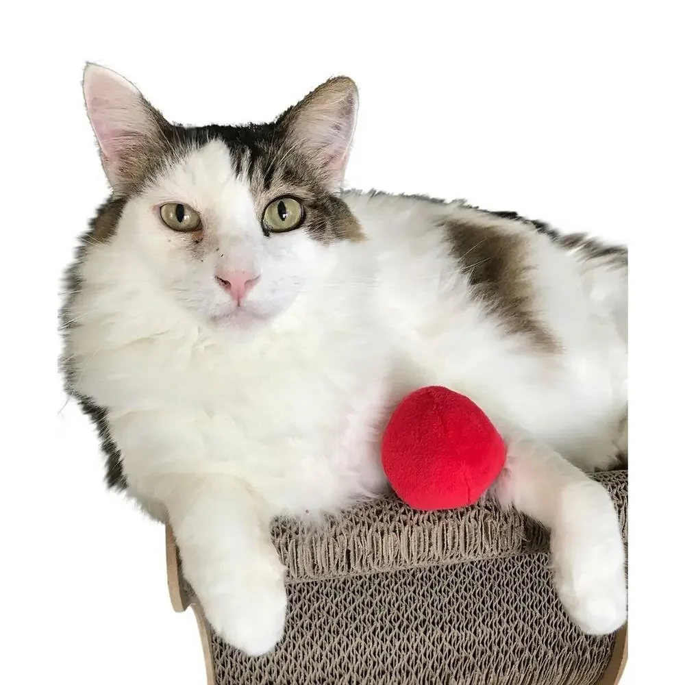 12 Pack Plush Squeaky Balls for Small Dogs or Cats - Red, Yellow, Blue